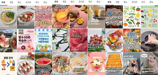 24일 해시태그로 '제철 과일' 또는 '제철 음식'이 걸려 있는 게시글 모음. /인스타그램 캡처