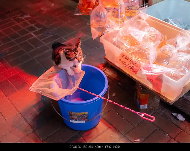 129af61ebd8369f220a8d3b706f11a39f776e5ff31a47d3e9b