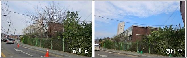 서울 구로구가 주택가 위험 수목을 정비한 전후 모습. 구로구 제공