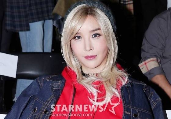 가수 겸 배우 하리수 /사진=스타뉴스