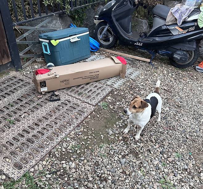 탈출 후 택배 언박싱 해놓은 현장(소상진 제공) ⓒ 뉴스1