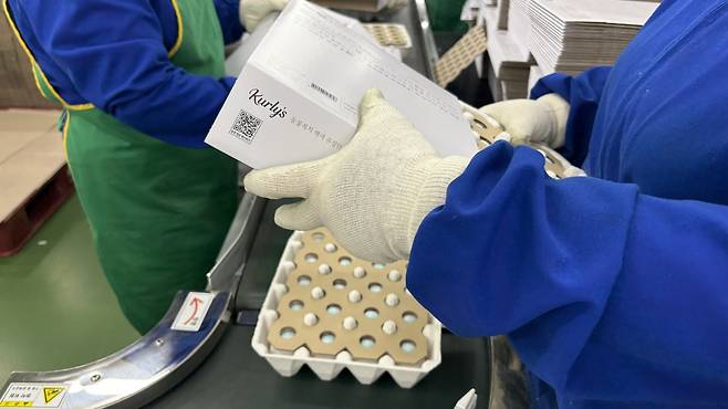 파손 방지 패드를 넣은 후 최종 포장되는 ‘컬리스 동물복지 유정란’ 박연수 기자