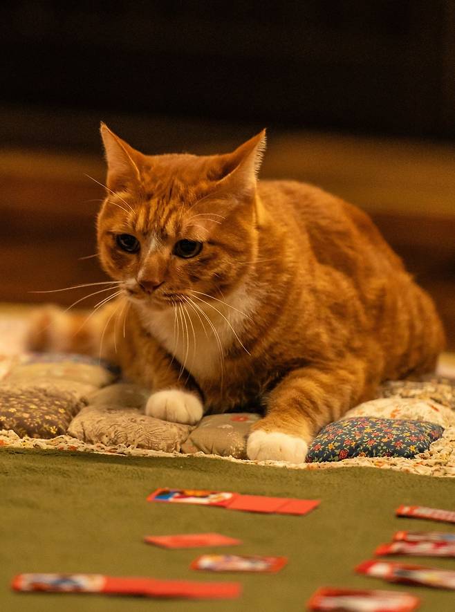 영화 ‘좀비딸’ 스틸