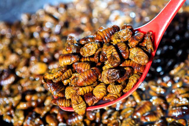 기사 이해를 돕기 위한 사진. 이미지투데이