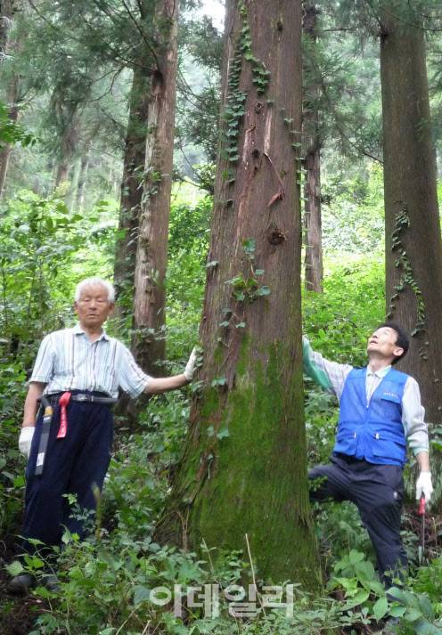 고 진재량 선생(왼쪽)과 진춘호 무등산편백자연휴양림 대표(오른쪽). (사진=무등산편백자연휴양림 제공)