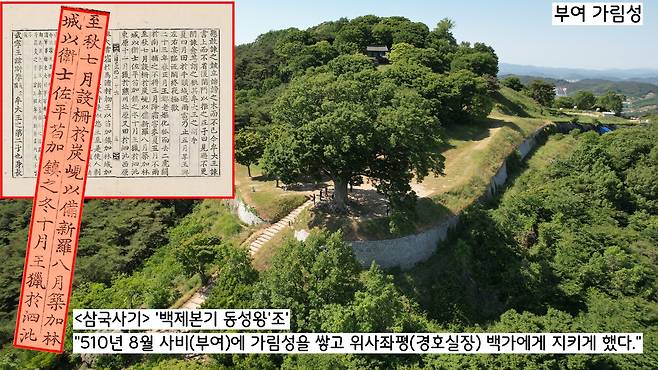 동성왕은 천도를 염두에 두고 501년 8월 사비(부여)에 가림성을 쌓고,, 그 성주로 위사좌평(경호실장) 백가를 임명했다.