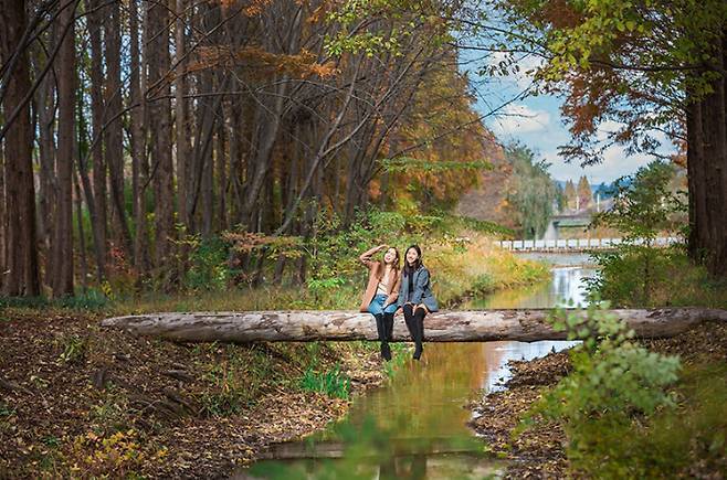 경북천년숲정원.