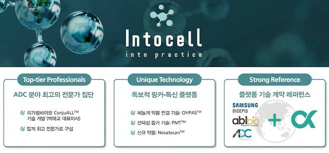 인투셀 소개 자료. /인투셀 제공