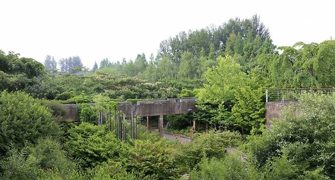 선유도 공원 / 사진. ⓒYi Donghyup