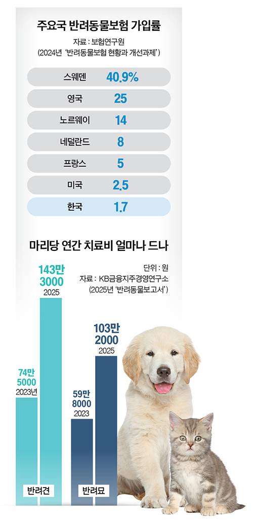 그래픽=남미가 기자