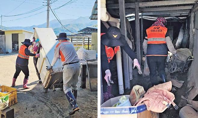 경남 김해시 김해동부의용소방대연합회 대원들이 지난달 29일 폭우 피해를 입은 한 축산 농가에서 복구작업을 하고 있다. 소방청 제공