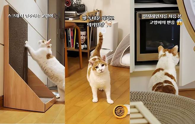 /사진=유튜브 채널 ‘5275 오이칠오’ 캡처