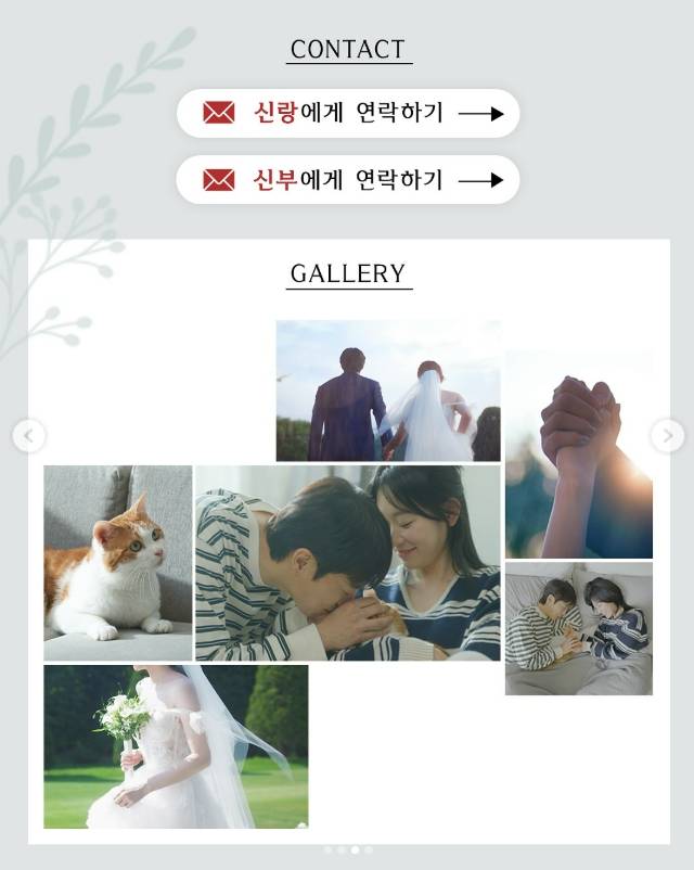 /사진=tvN 드라마 공식 SNS