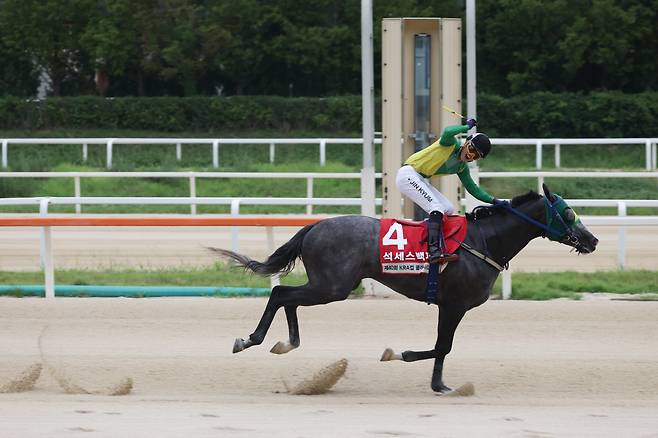 ◇석세스백파. 사진제공=한국마사회