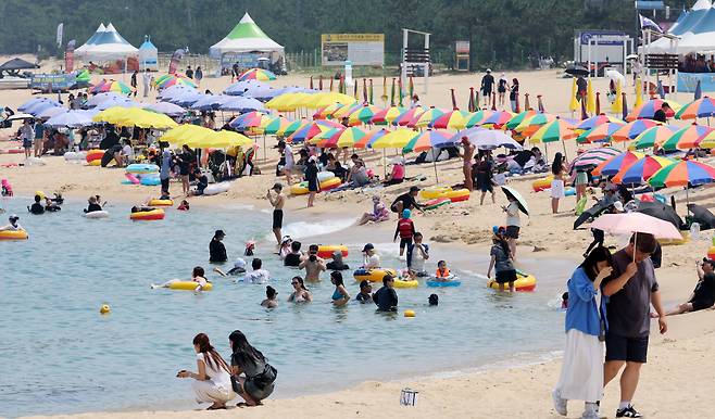 물놀이 즐기는 피서객들./ 연합뉴스