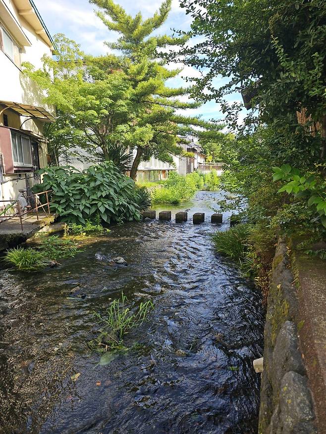 20250727_154301.jpg <도쿄외노자> 170년 장어덮밥 노포 맛집 :: 우나기 사쿠라야 うなぎ桜家