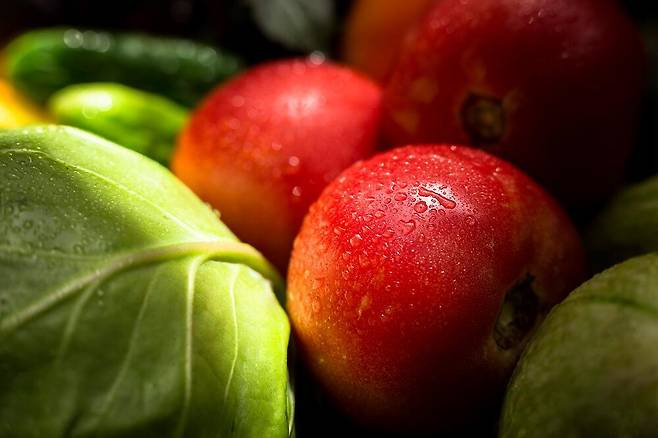 복숭아는 폴리페놀과 수용성 식이섬유인 펙틴, 새콤한 향을 내는 유기산 성분이 더위를 이겨내고 지친 몸에 활력을 불어넣는 데 도움을 준다. 클립아트코리아 제공