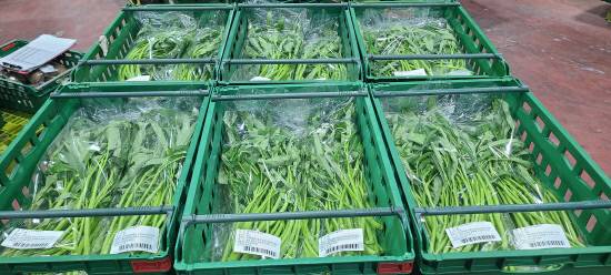 남해군이 지난 8일 아열대 채소 '공심채'를 서원유통 탑마트에 처음 납품했다. 사진=남해군