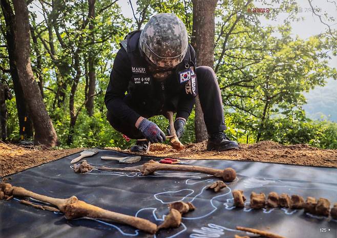 화살머리고지 발굴 현장에서 송기원 DMZ 발굴 3팀장이 수습한 뼛조각을 맞추고 있다. /이상철 장군 제공