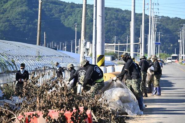 군 장병이 투입돼 수해를 입은 시설하우스 쓰레기를 걷어내고 있다. /김구연 기자