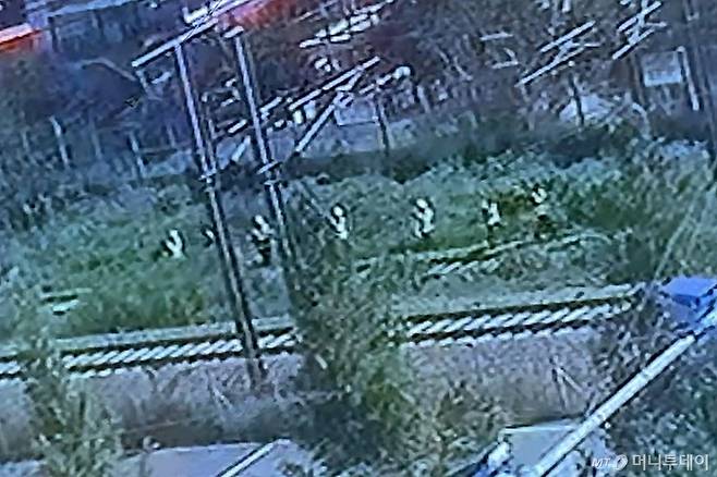 지난 19일 오전 경북 청도군 화양읍 삼신리 경부선 철로에서 구조물 안전진단 연구원 6명과 코레일 직원 1명이 작업 현장으로 이동하는 모습. /사진=뉴스1