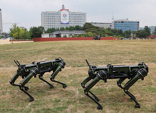 2022년 서울 용산공원에서 대통령실 앞뜰을 지키는 로봇개가 이동하고 있다. 한경DB