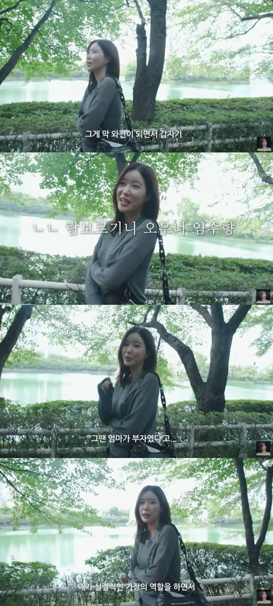 /사진=유튜브 채널 '임수향무거북이와두루미' 캡처