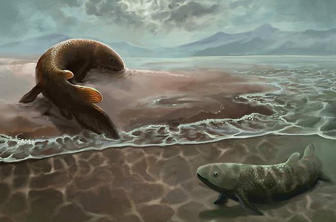 고생대의 폐어가 물에서 나와 땅으로 기어오르는 모습을 묘사한 그림. 사이언티픽 리포츠