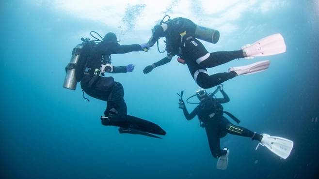 사진은 기사 내용과 관련 없음
