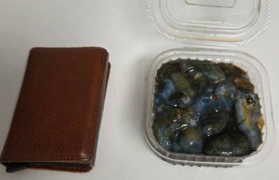 부산 자갈치시장의 한 유명 횟집에 방문한 A씨가 해삼을 주문해 몇 점 먹은 뒤 포장해 온 해삼. 사진 온라인 커뮤니티 캡처