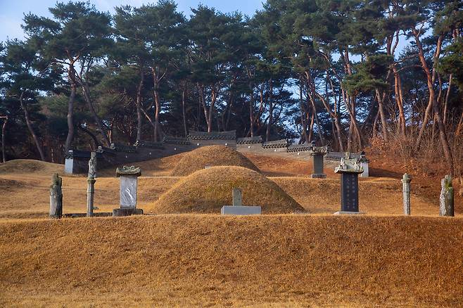 직계 후손 측 동의 없이 무덤을 파내고 화장까지 한 60대 토지주가 실형을 선고받았다. 기사 내용과 직접적 관련 없는 사진./사진=이미지투데이