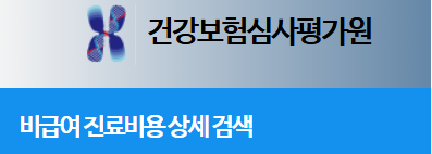 건강보험심사평가원이 2025년도 비급여 진료항목 가격을 홈페이지에 공개했다. 건강보험심사평가원 홈페이지 캡처