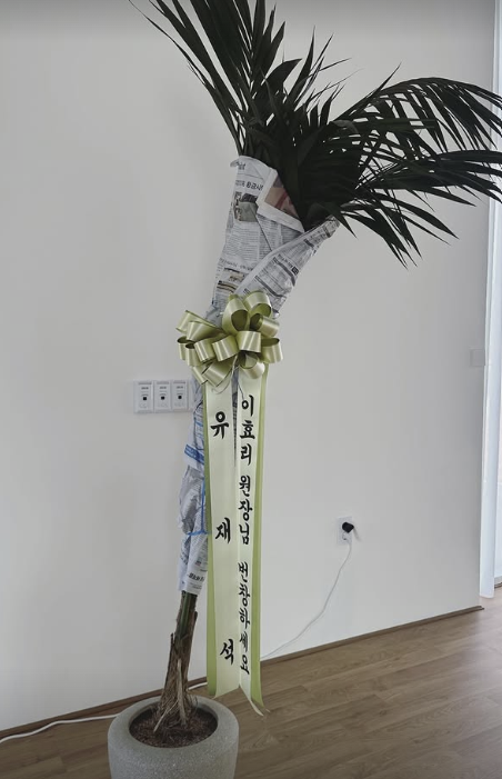 이효리 요가원 ‘아난다’ 계정 캡처