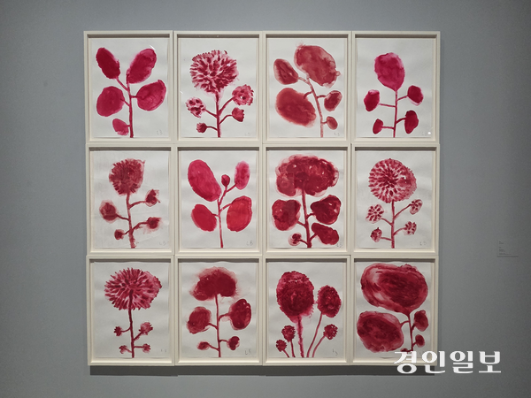 호암미술관 ‘루이즈 부르주아: 덧없고 영원한’ 전시에서 만날 수 있는 ‘꽃 연작’. 2025.8.27 /이시은기자 see@kyeongin.com