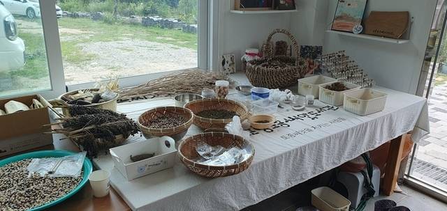 ▲ 4일 포항토종씨앗도서관 내부에 토종씨앗들이 전시되고 있는 모습. 황영우 기자