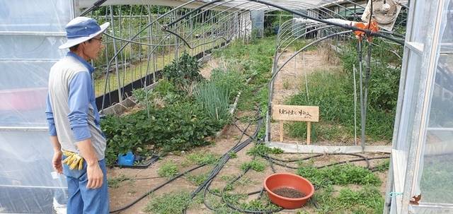 ▲ 4일 포항토종씨앗도서관 구역 내 경작 하우스 모습. 황영우 기자
