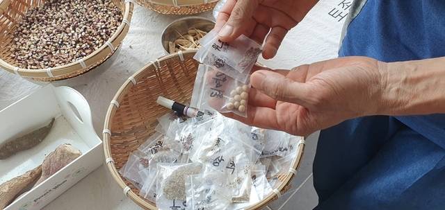 ▲ 4일 포항토종씨앗도서관에서 보관 및 증산되고 있는 토종 씨앗들 모습. 황영우 기자