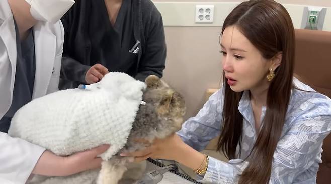 사진=이다해 유튜브