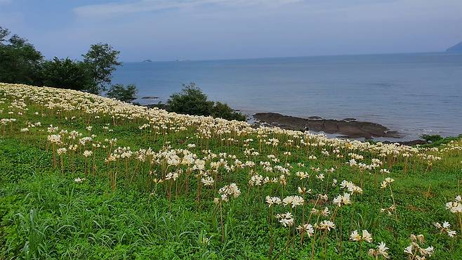 사진출처 : 부안군 제공