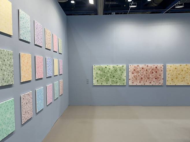 이강욱 작가의 작품과 어울리게 벽과 바닥의 색을 커스텀한 노화랑. /강은영