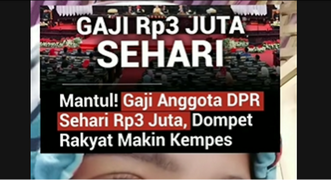 8월 14일 틱톡에 퍼지기 시작한 ‘국회의원 급여 인상설’ 게시물. 소문은 급속히 퍼져나갔고, 이후 관련 동영상이 줄지어 올라왔다.