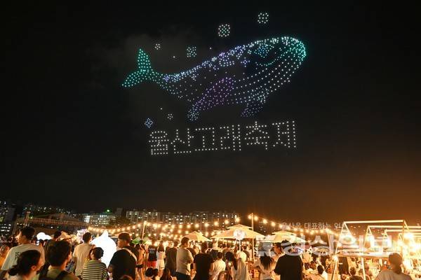 경상일보가 주최하고 울산시 남구가 후원하는 '2025 태화강 빛 축제''가 6일 울산시 남구 태화강 둔치에서 열렸다. 1천대의 드론이 울산고래축제 홍보문구를 만들어보이고 있다. 김동수기자 dskim@ksilbo.co.kr