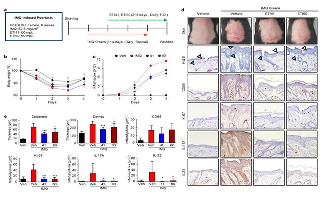 ▲ 연구 이미지