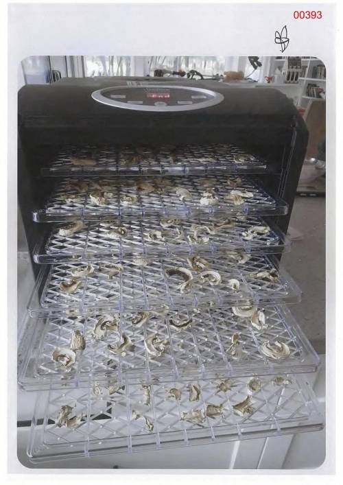 에린 패터슨이 버섯을 말린 식품 건조기. 빅토리아 대법원