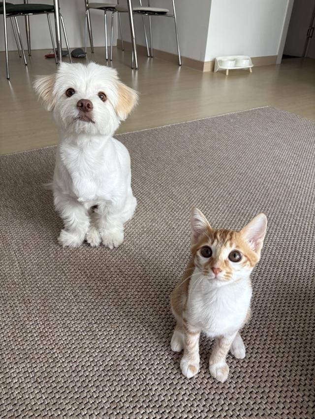 귀요미 옆 귀요미