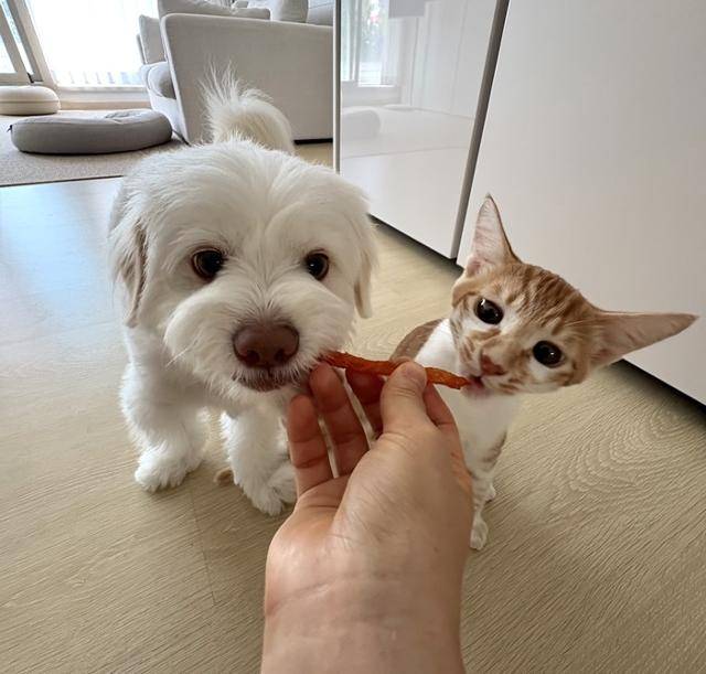 간식도 같이 먹는 찐친입니다.