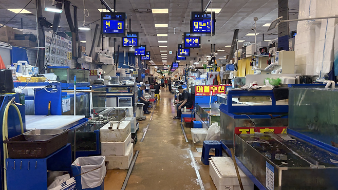 지난 8일 찾은 서울 노량진 수산시장이 손님이 줄어 한적하다. 박연수 기자