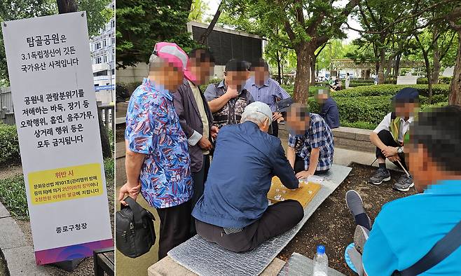 서울 종로구 탑골공원 내 오락행위가 금지된 지 한 달여가 지난 9일 노인들이 공원에서 약 700m 떨어진 종묘광장공원에 자리를 잡고 장기를 두고 있다.