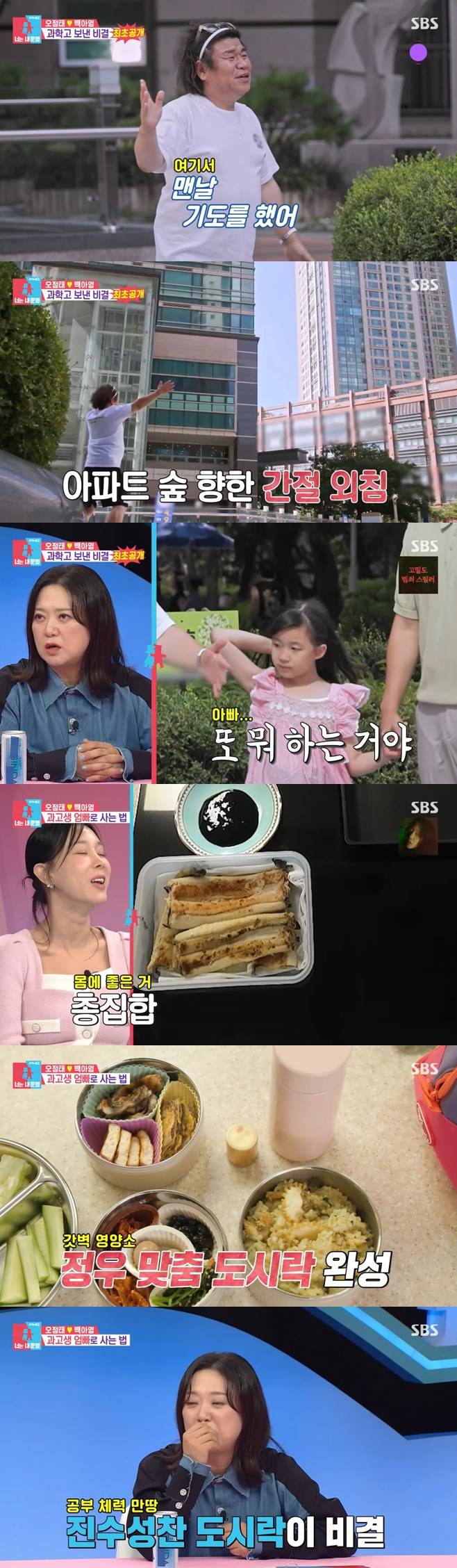 티브이데일리 포토