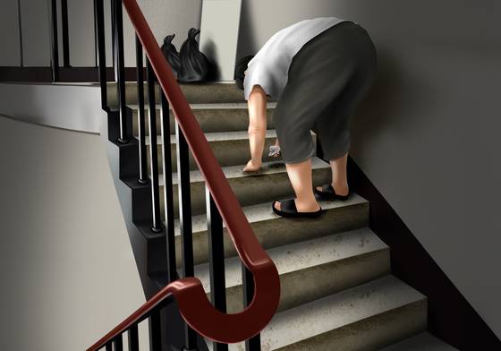 이지우 디자이너